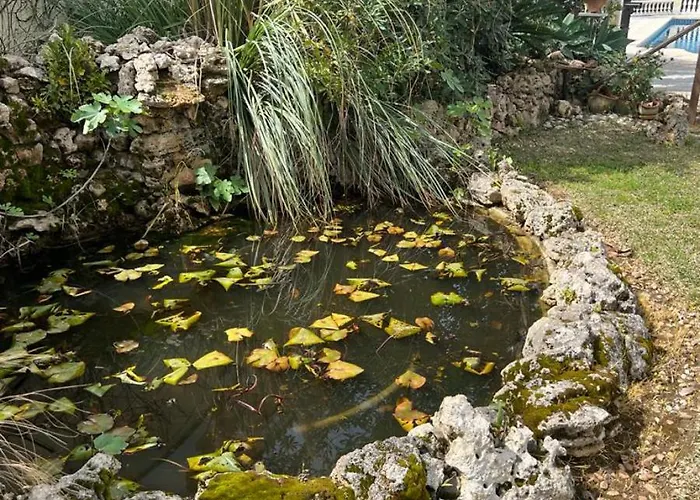 Beautiful 2 Steps From The فيلة